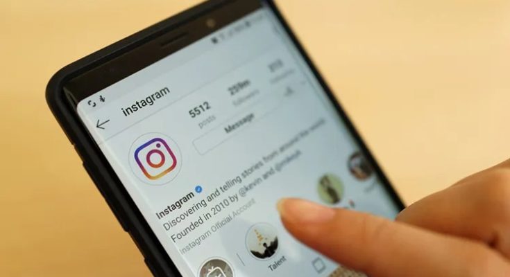 Instagram Video Download Online - Save Reels & Stories Free