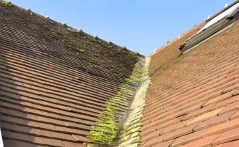 Roofing Maintenance Services That Improve Structural Safety