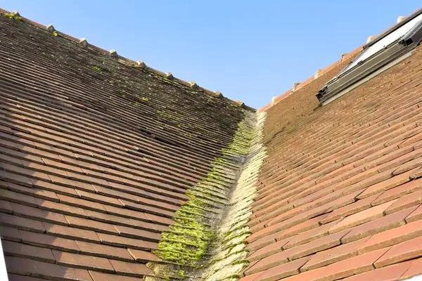 Roofing Maintenance Services That Improve Structural Safety