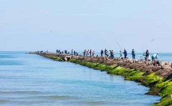 Modern Rentals in South Padre Island Close to the Beach
