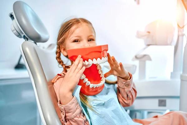 Understanding What a Dentist Looks for During Routine Dental Checkups
