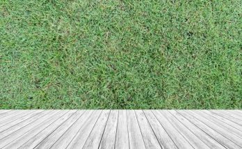 What Makes TurfMark Outdoor Solutions Buford a Top Lawn Care Provider